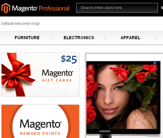 Magento open source shopping cart