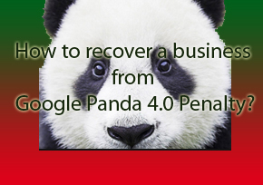 How to recover a business from  Google Panda 4.0 Penalty