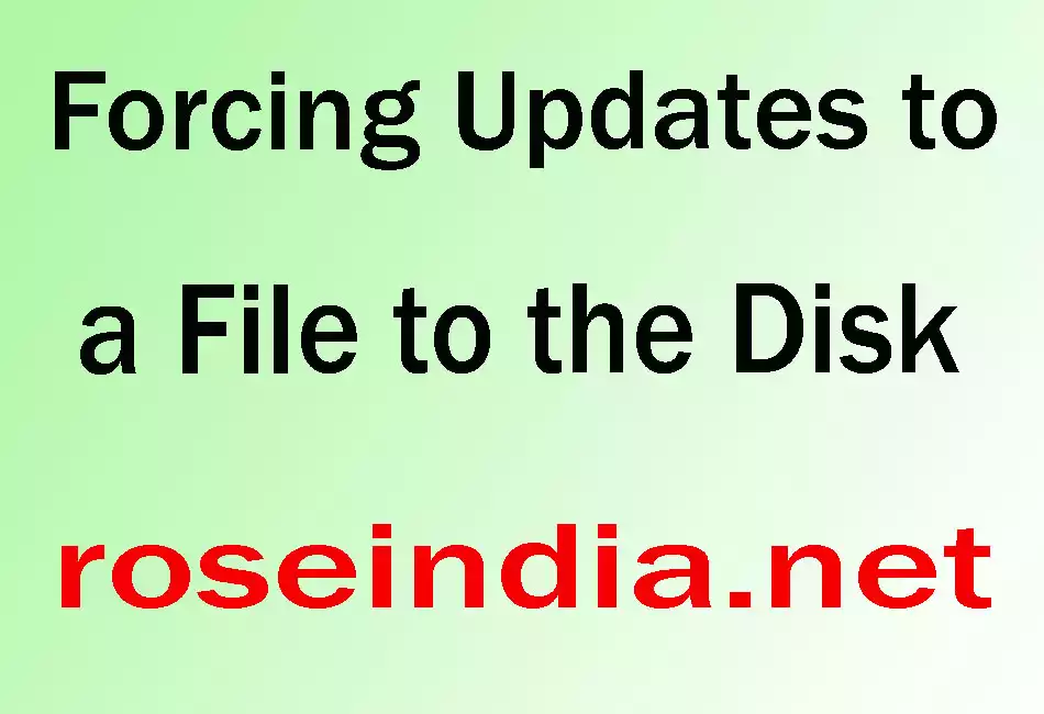 Forcing Updates to a File to the Disk