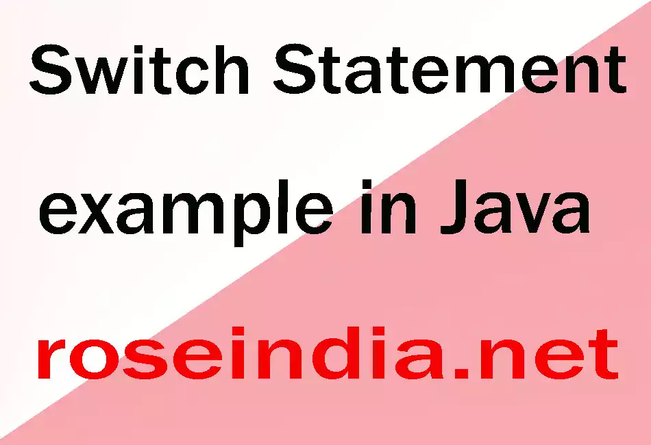 Switch Statement example in Java