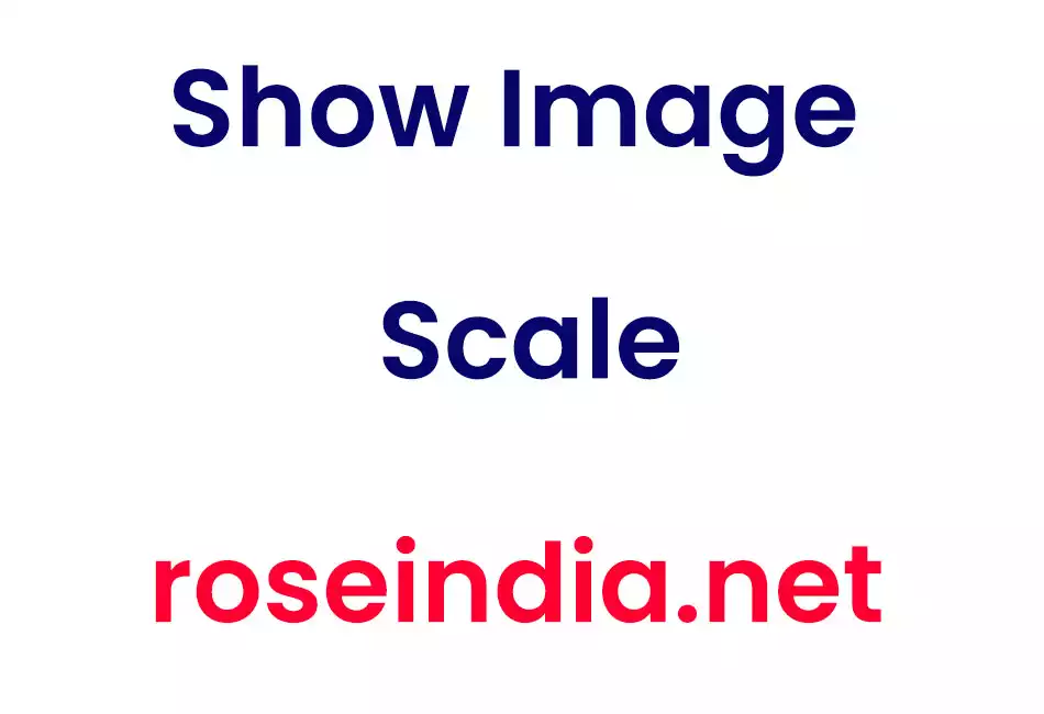Show Image Scale