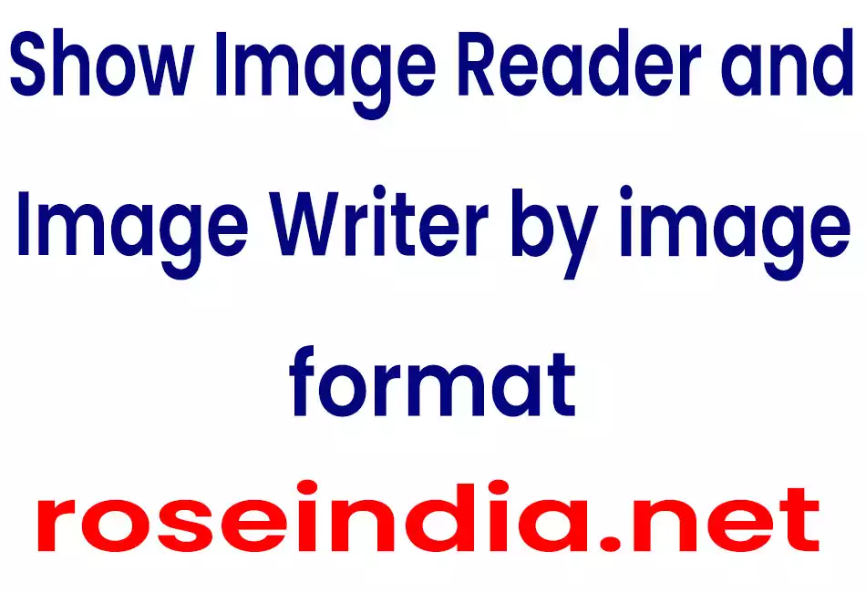 Show Image Reader and Image Writer by image format