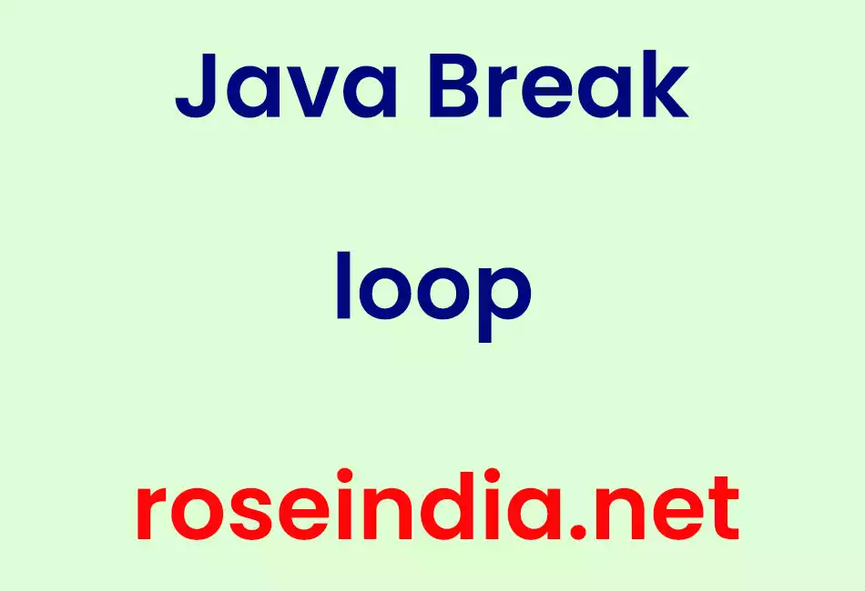 Java Break loop
