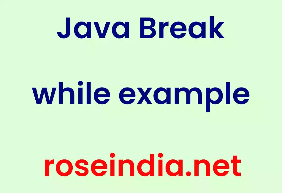 Java Break while example
