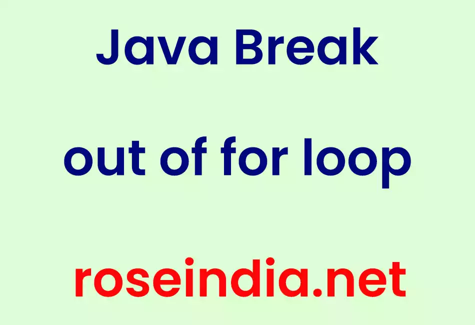  Java Break out of for loop