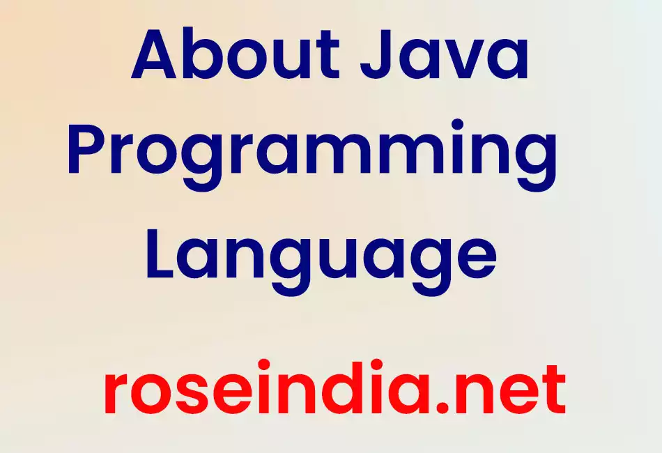 About Java Programming Language