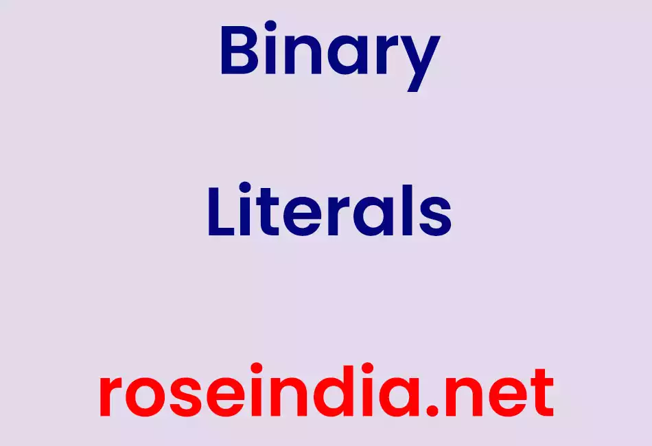 Binary Literals