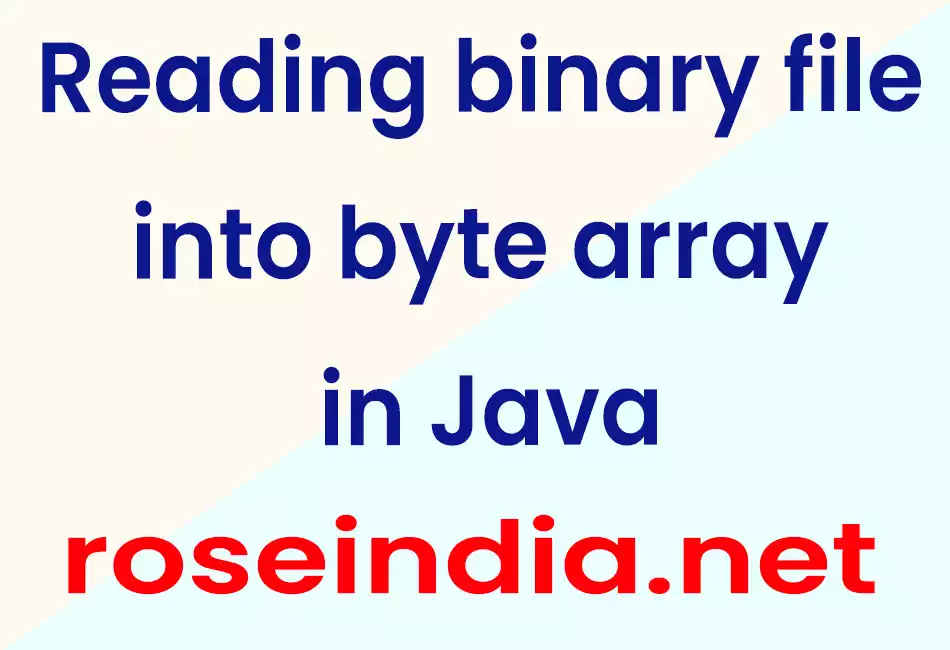 Reading binary file into byte array in Java