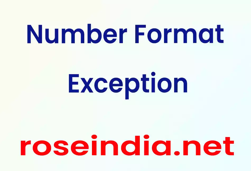 Number Format Exception