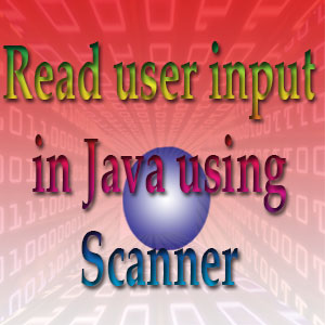 Example of of reading user input in Java using Scanner