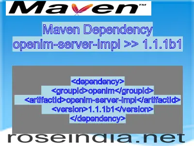 Maven dependency of openim-server-impl version 1.1.1b1