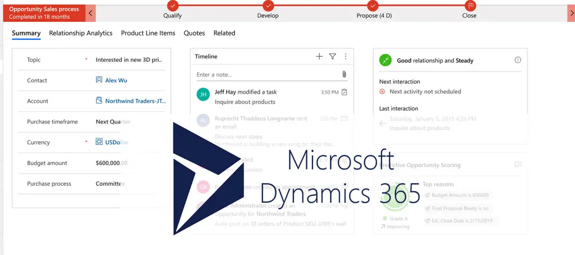 Dynamics 365 Technical Consultancy