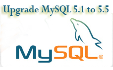 cPanel upgrade MySQL 5.1 to 5.5