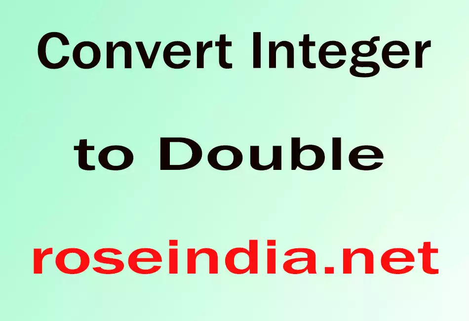 Convert Integer to Double