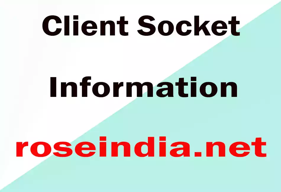 Client Socket Information