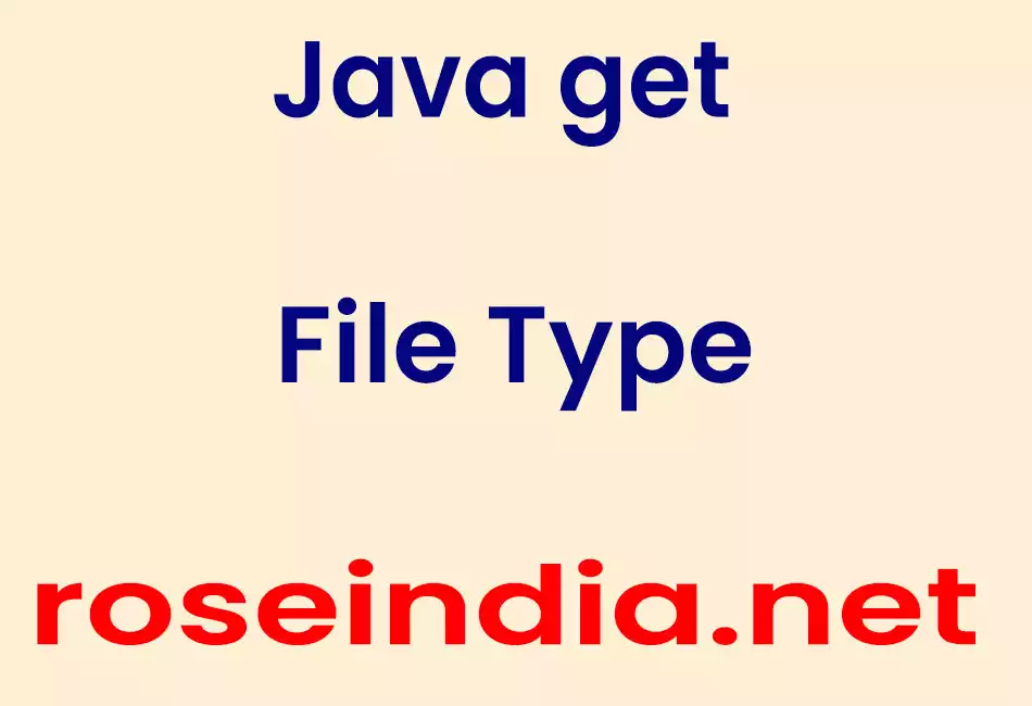 Java get File Type