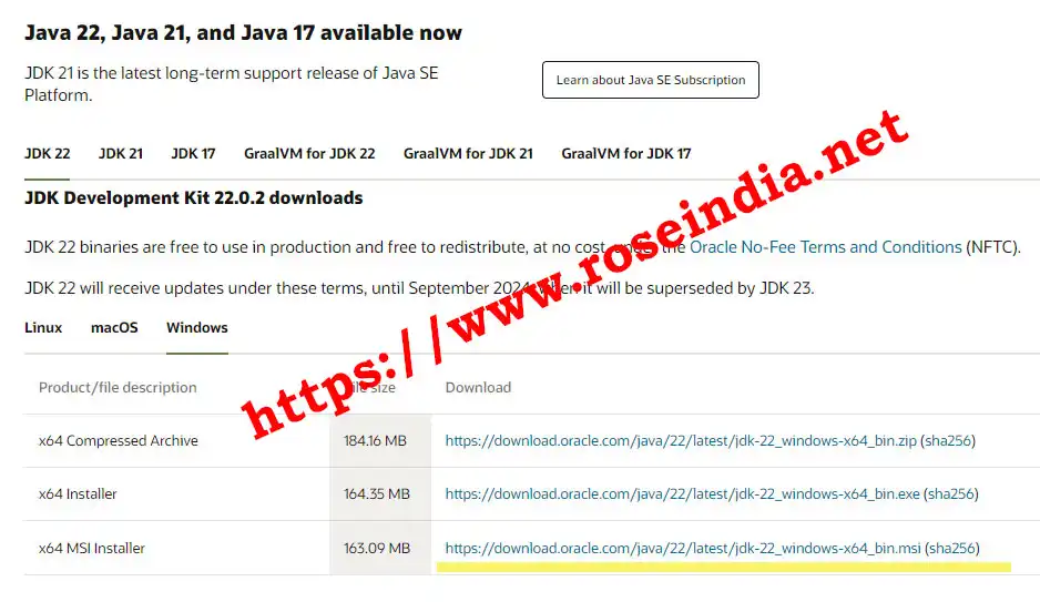 Download Oracle Java 22.0