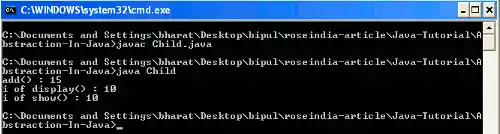 Java Interface Example