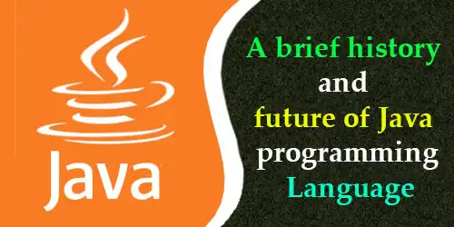 A brief history and future of Java programming language