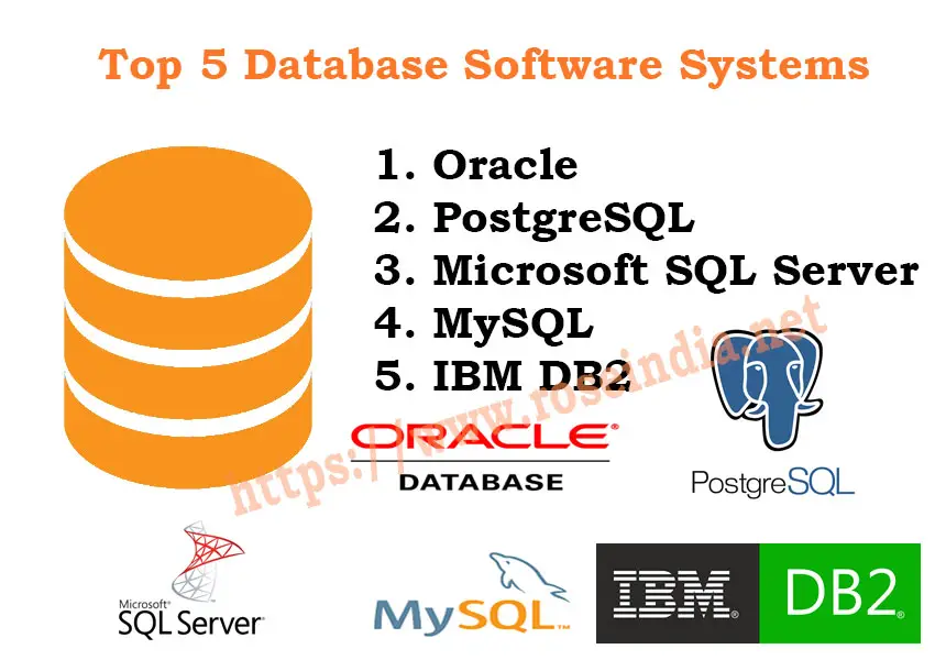 Top 5 Database Software Systems